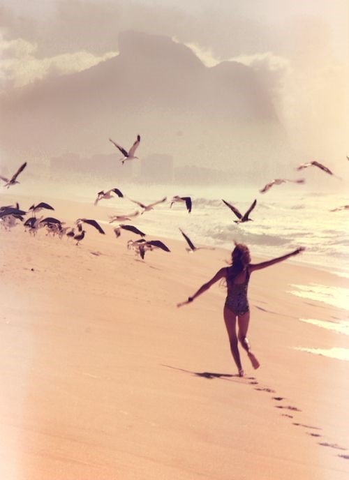 МОРСКОЕ ОЧАРОВАНИЕ, ЧАЙКИ - природа, морское очарование, чайки, пейзаж - оригинал