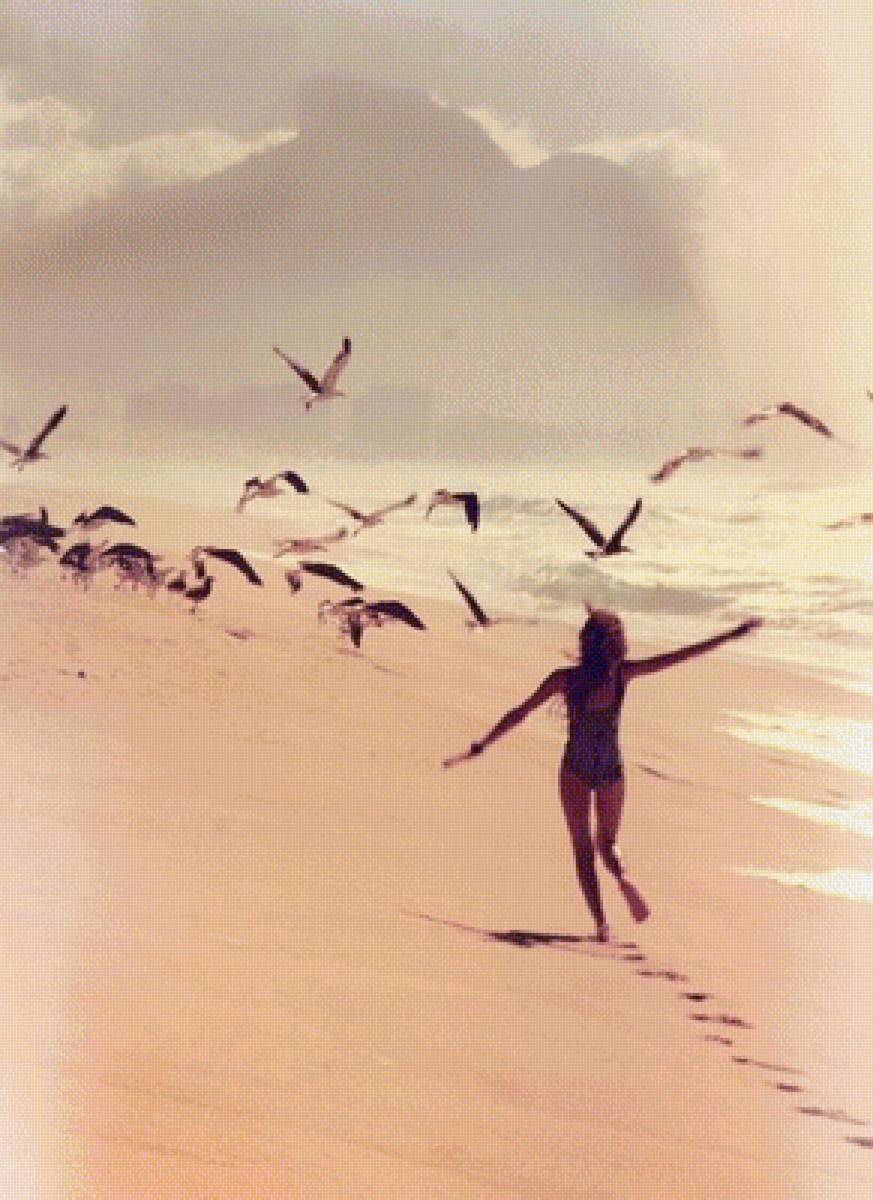 МОРСКОЕ ОЧАРОВАНИЕ, ЧАЙКИ - пейзаж, природа, чайки, морское очарование - предпросмотр