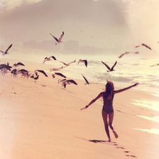 Схема вышивки «МОРСКОЕ ОЧАРОВАНИЕ, ЧАЙКИ»