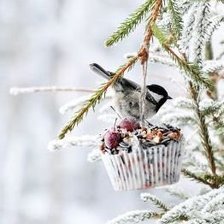 Схема вышивки «ПОДАРОК»