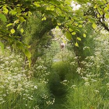 Схема вышивки «ПЕЙЗАЖ»