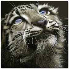 Схема вышивки «Котёнок»