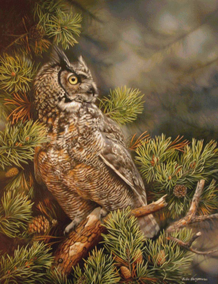 Сова - животные - предпросмотр