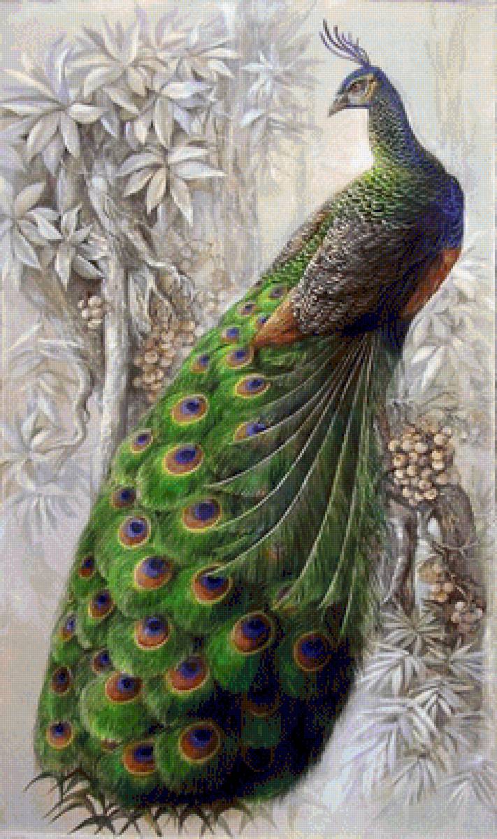 №1570127 - предпросмотр