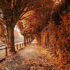 Схема вышивки «Осенняя аллея»