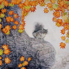 Схема вышивки «Белочка»