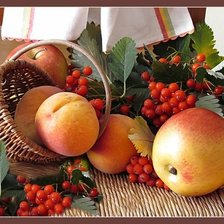 Схема вышивки «№1570885»