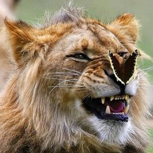 Схема вышивки «№1570916»