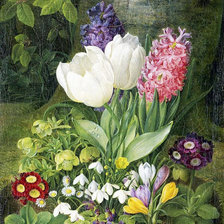 Схема вышивки «№1571059»