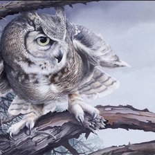 Схема вышивки «Сова»