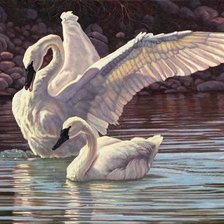 Схема вышивки «Kartina»