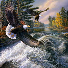 Схема вышивки «Орлы»