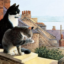 Схема вышивки «Коты»