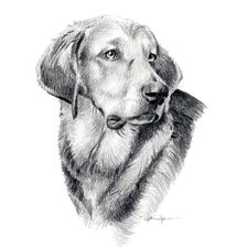 Схема вышивки «Собака»