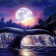 Схема вышивки «Cola de orca»