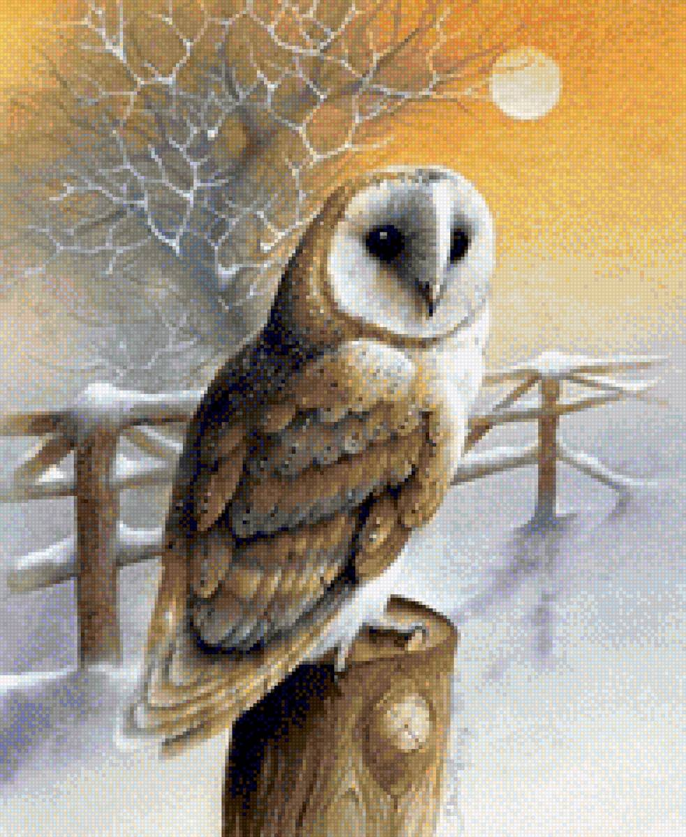 coruja - animais - предпросмотр