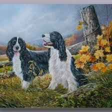 Схема вышивки «Собаки»