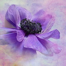 Схема вышивки «цветок»