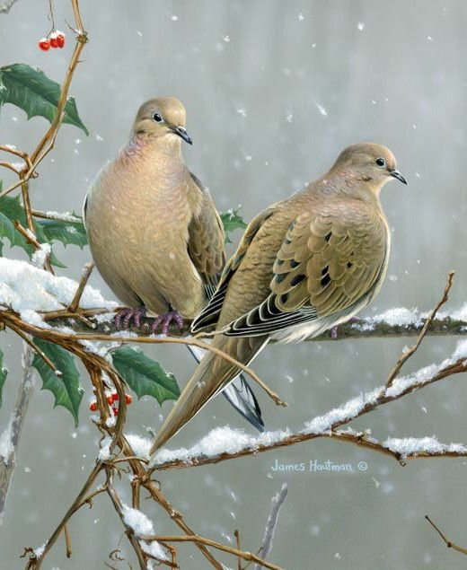 №1572897 - оригинал