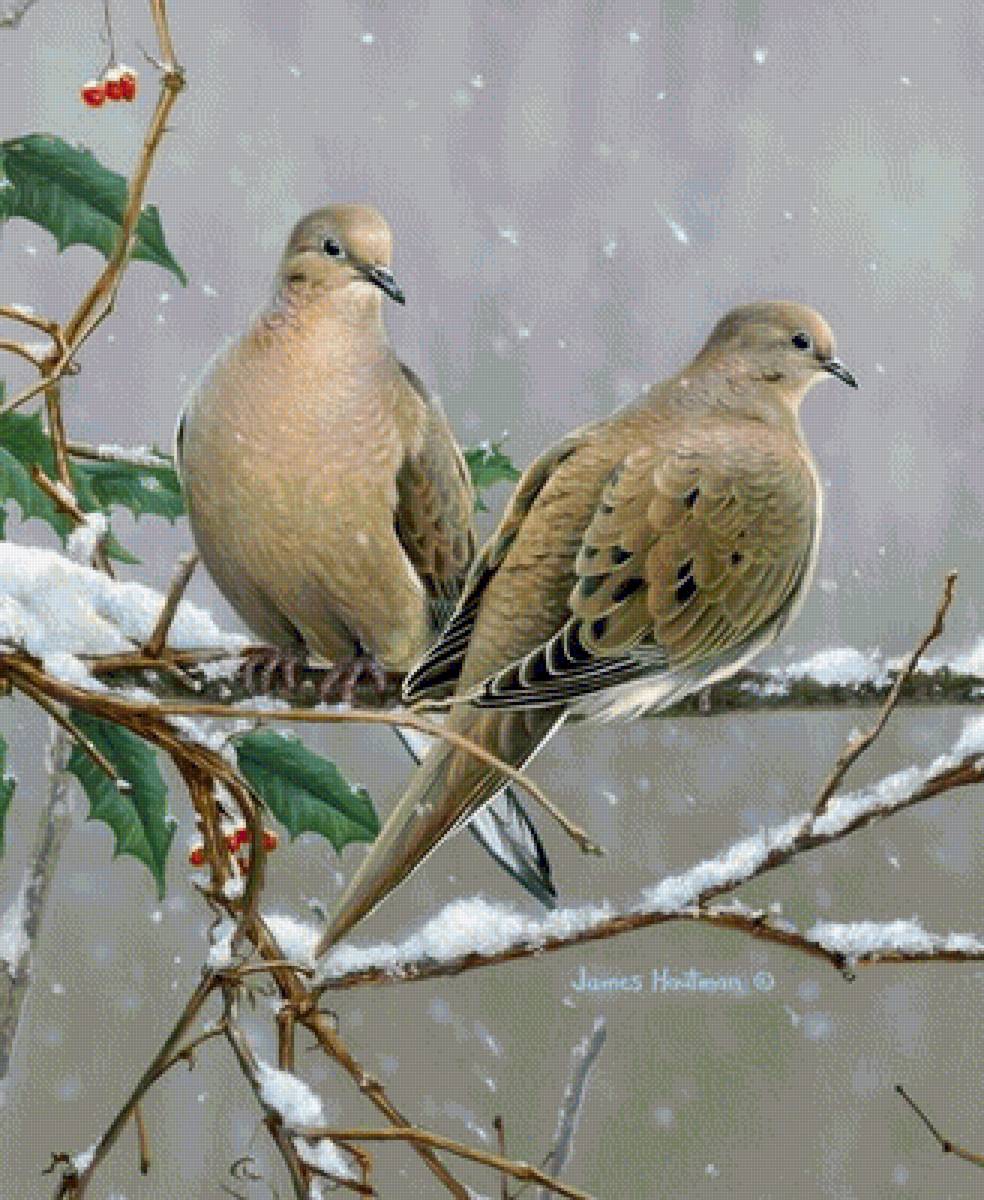 №1572897 - предпросмотр