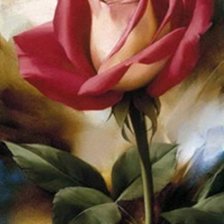 Схема вышивки «Роза 1»