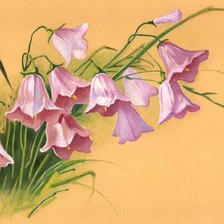 Схема вышивки «Розовые колокольчики»