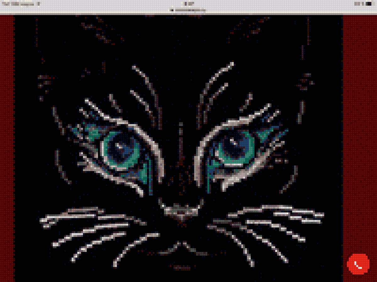 Черный кот - предпросмотр