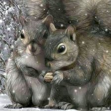 Схема вышивки «Veverčata»