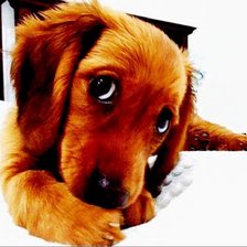 Схема вышивки «1»