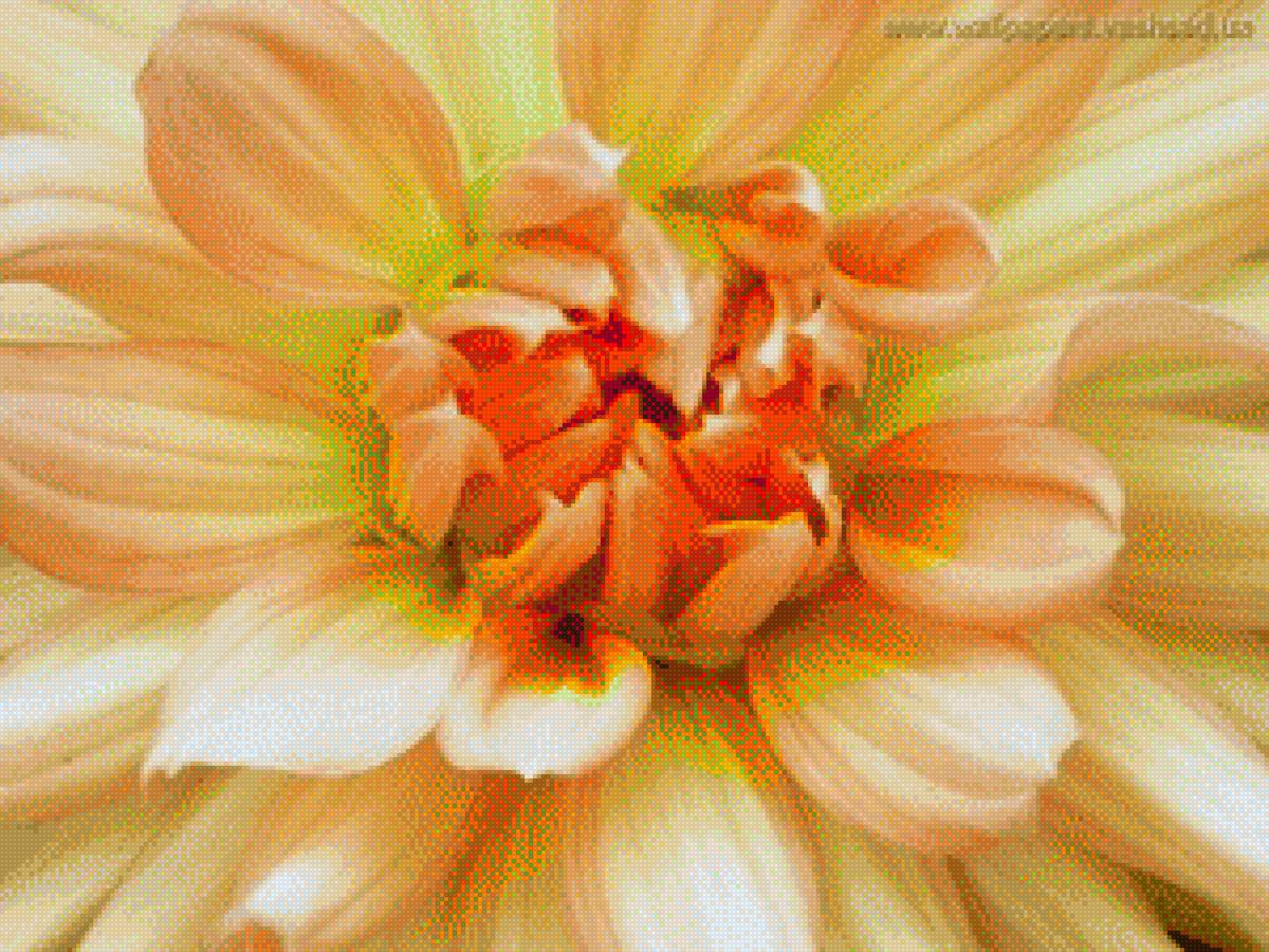 георгин - георгин.цветы.подушка - предпросмотр