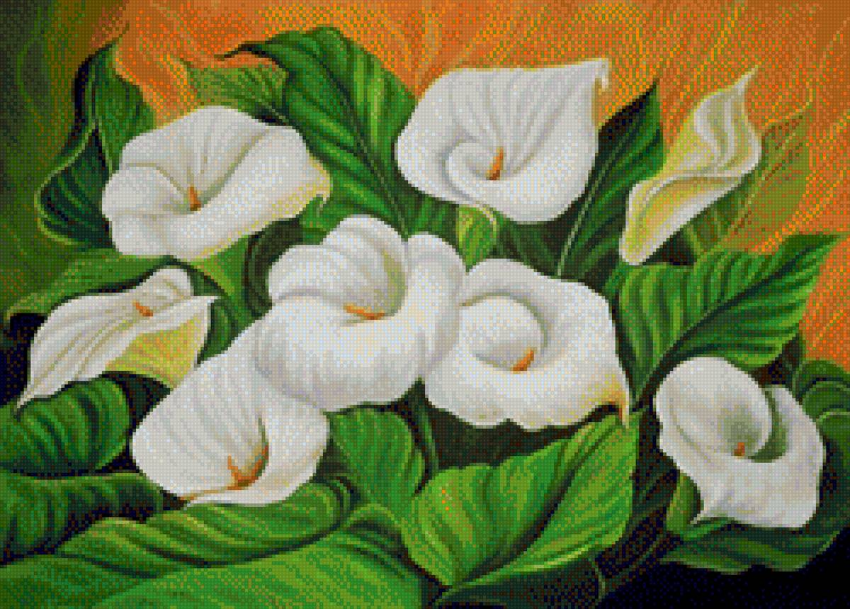 каллы - каллы - предпросмотр