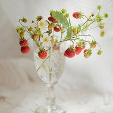 ЛЕСНИЕ ЯГОДИ