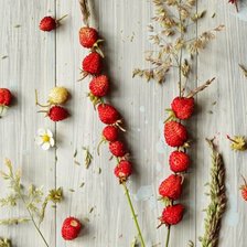 Схема вышивки «ЛЕСНИЕ ЯГОДИ»