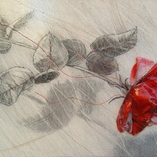 Схема вышивки «№1574724»