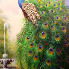 Схема вышивки «Павлин»