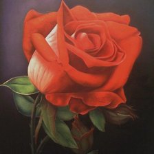 Схема вышивки «№1575108»