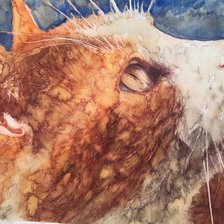 Схема вышивки «№1575136»