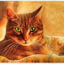 Схема вышивки «№1575146»