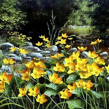 Схема вышивки «kaczeńce»