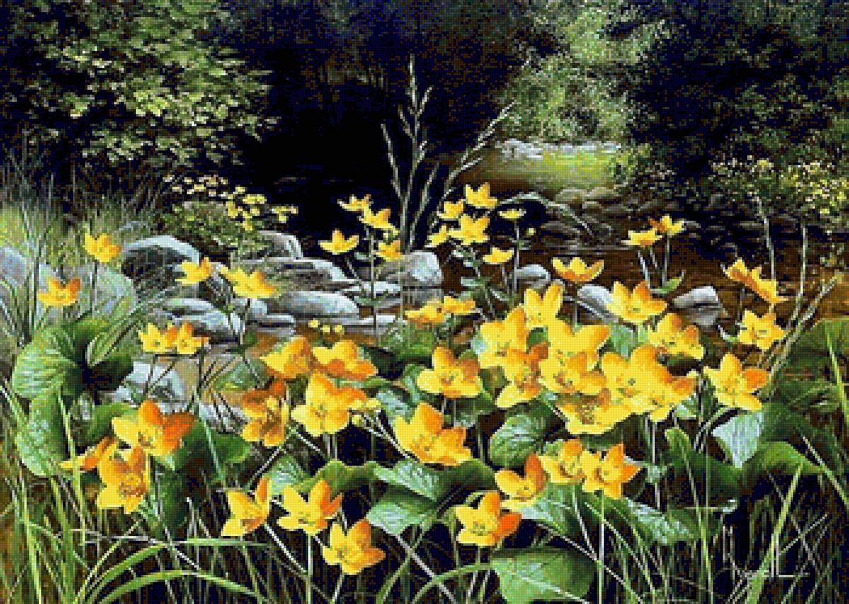 kaczence - предпросмотр