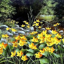 Схема вышивки «kaczence»