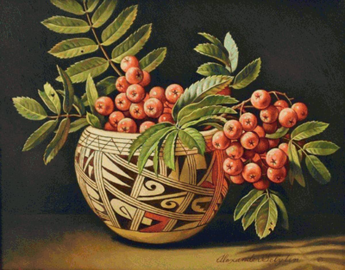 Рябина - предпросмотр