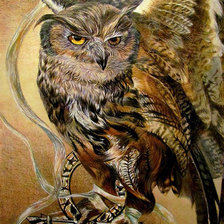 Схема вышивки «Сова»