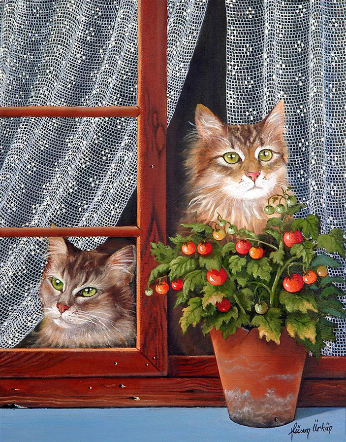 Коты - животные - оригинал