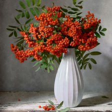 Схема вышивки «РЯБИНА»