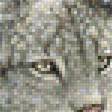Предпросмотр схемы вышивки «Рысь» (№1576303)
