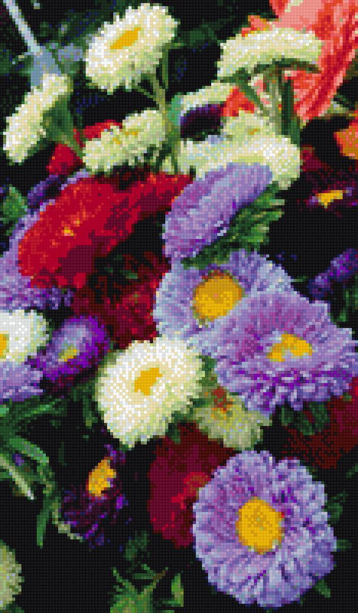 Астры - цветы - предпросмотр