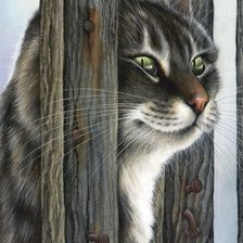 Схема вышивки «Кот»