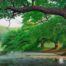 Схема вышивки «Природа»