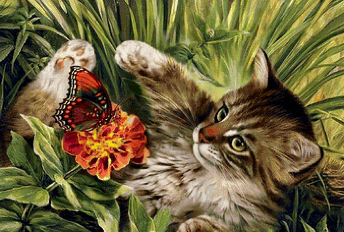котенок и бабочка - котенок, кот, бабочка, друзья - предпросмотр